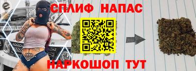 гидра Брянск