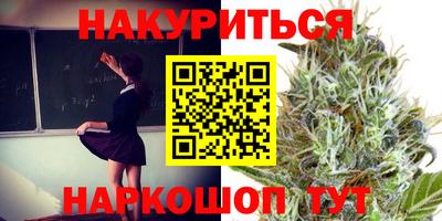 гидра Брянск