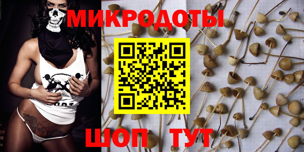 Ахтубинск  Псилоцибиновые грибы Psilocybe  Вход с VPN 