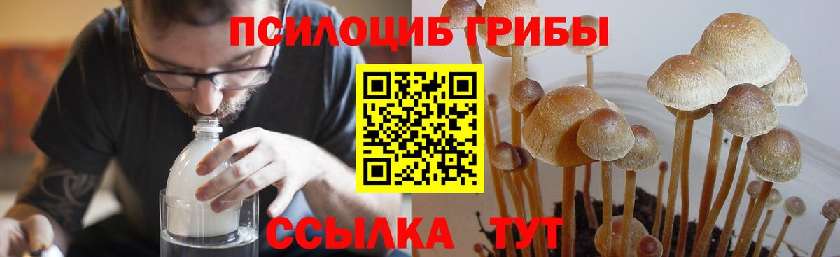 Галлюциногенные грибы ЛСД Ахтубинск